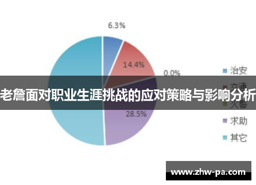 老詹面对职业生涯挑战的应对策略与影响分析